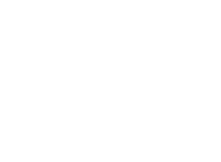Shalom Meet and Together - logo
